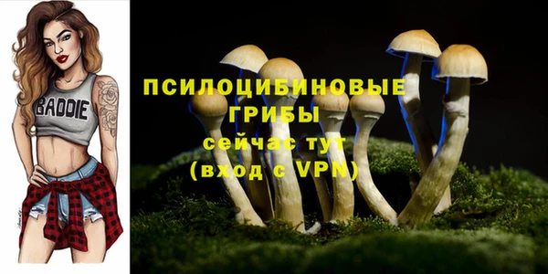 хмурый Богородск