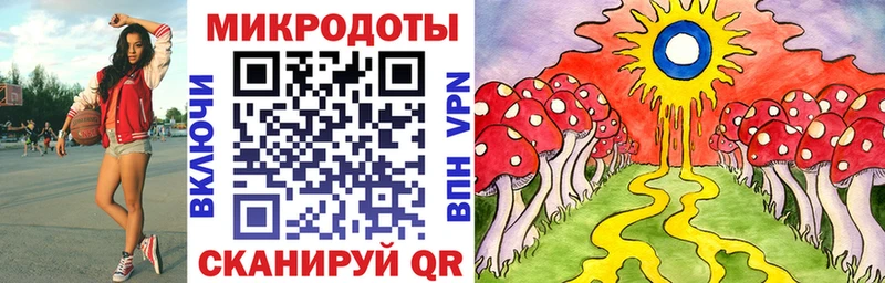 Купить  Куровское  Псилоцибиновые грибы Magic Shrooms 